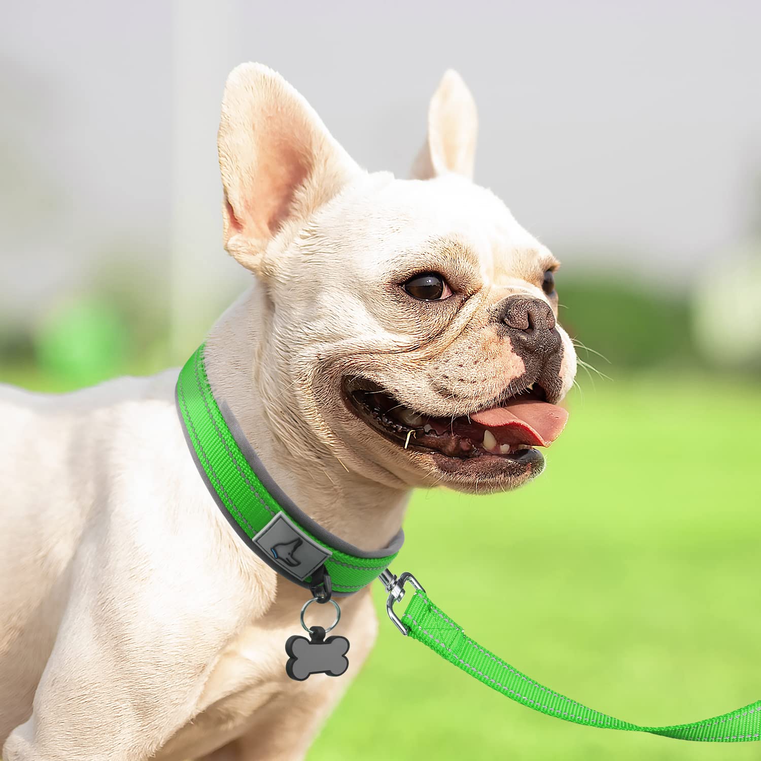 Joytale collar con costuras reflectivas 360° para visibilidad nocturna.