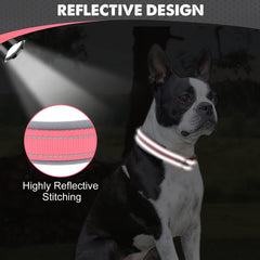Joytale collar con hebilla de metal resistente, duradero para perros activos.