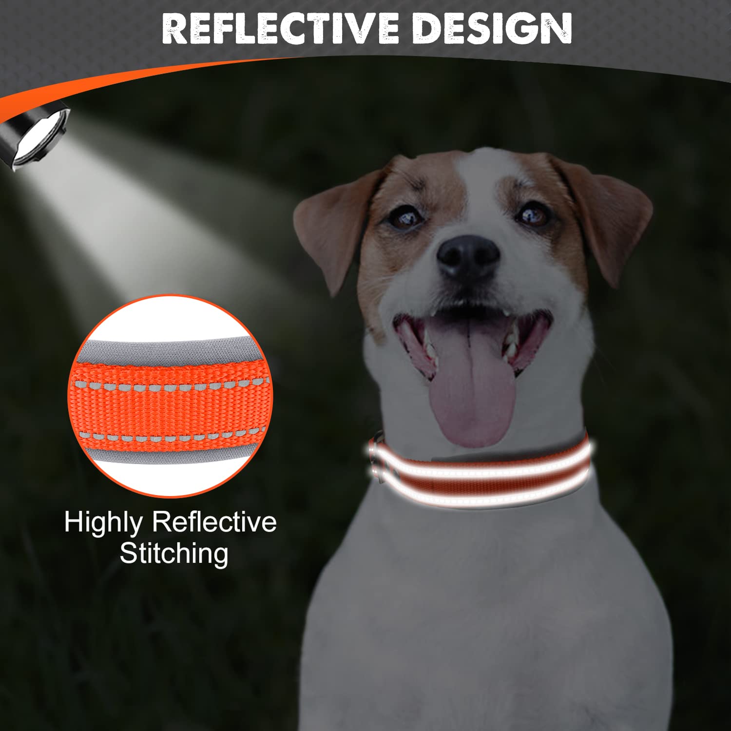 Collar Joytale de doble banda para mayor durabilidad en juegos.