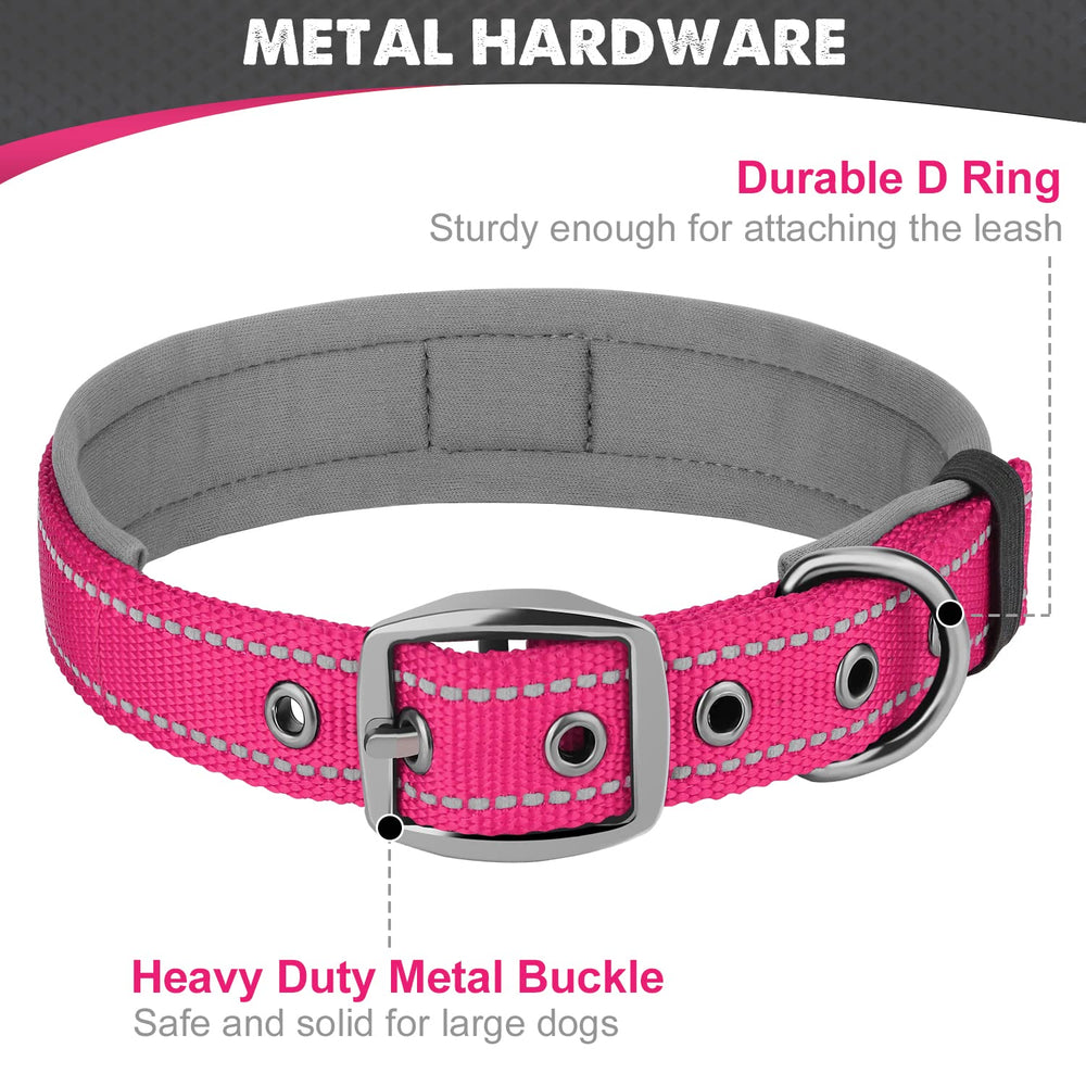 Collar Joytale de doble cinta reforzada para mayor durabilidad.