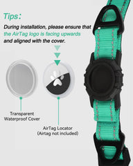 Dos anillos en D metálicos para correa e identificación.