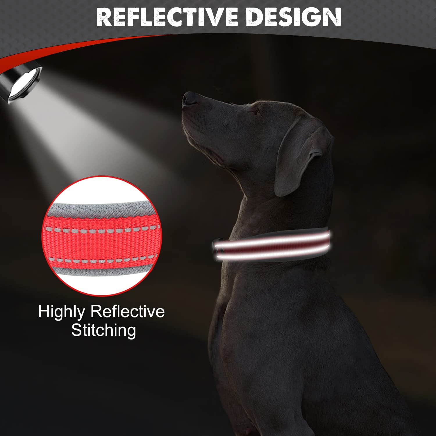 Joytale collar grande con doble cinta y ojal de identificación para fiabilidad.