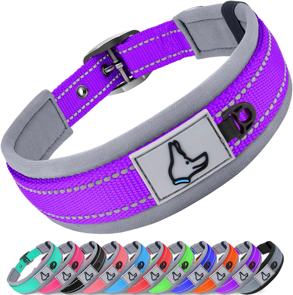 Collar Joytale para perros grandes con neopreno acolchado para mayor comodidad.