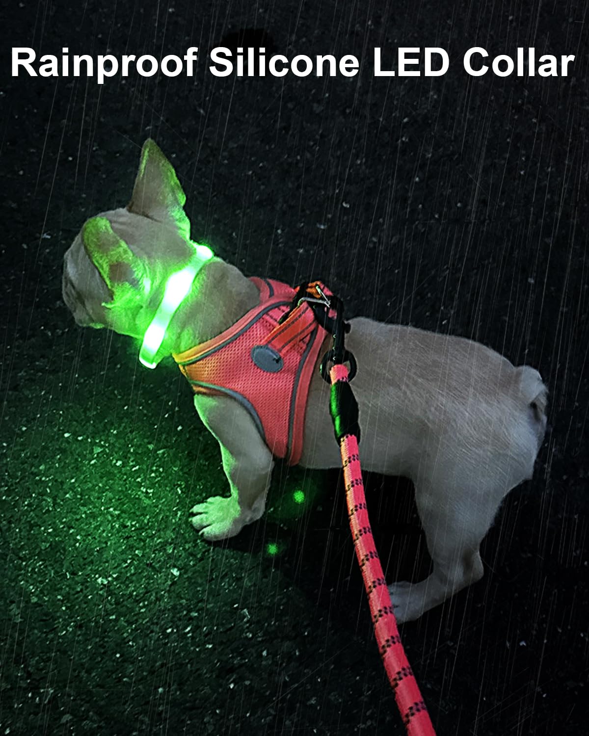 Collar LED Joytale para perros, visible en la oscuridad para caminatas seguras.