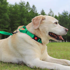 Joytale collar martingale cierre rápido facilita liberación en emergencias