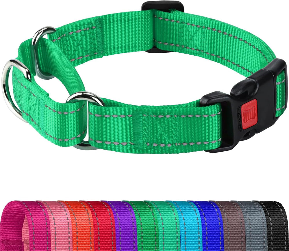Collar martingale Joytale verde con reflexión para mayor seguridad en paseos nocturnos