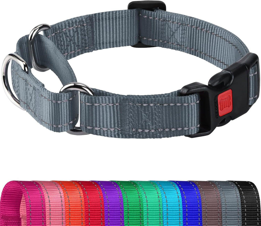 Joytale collar martingale reflectivo con cierre rápido para paseos nocturnos seguros.