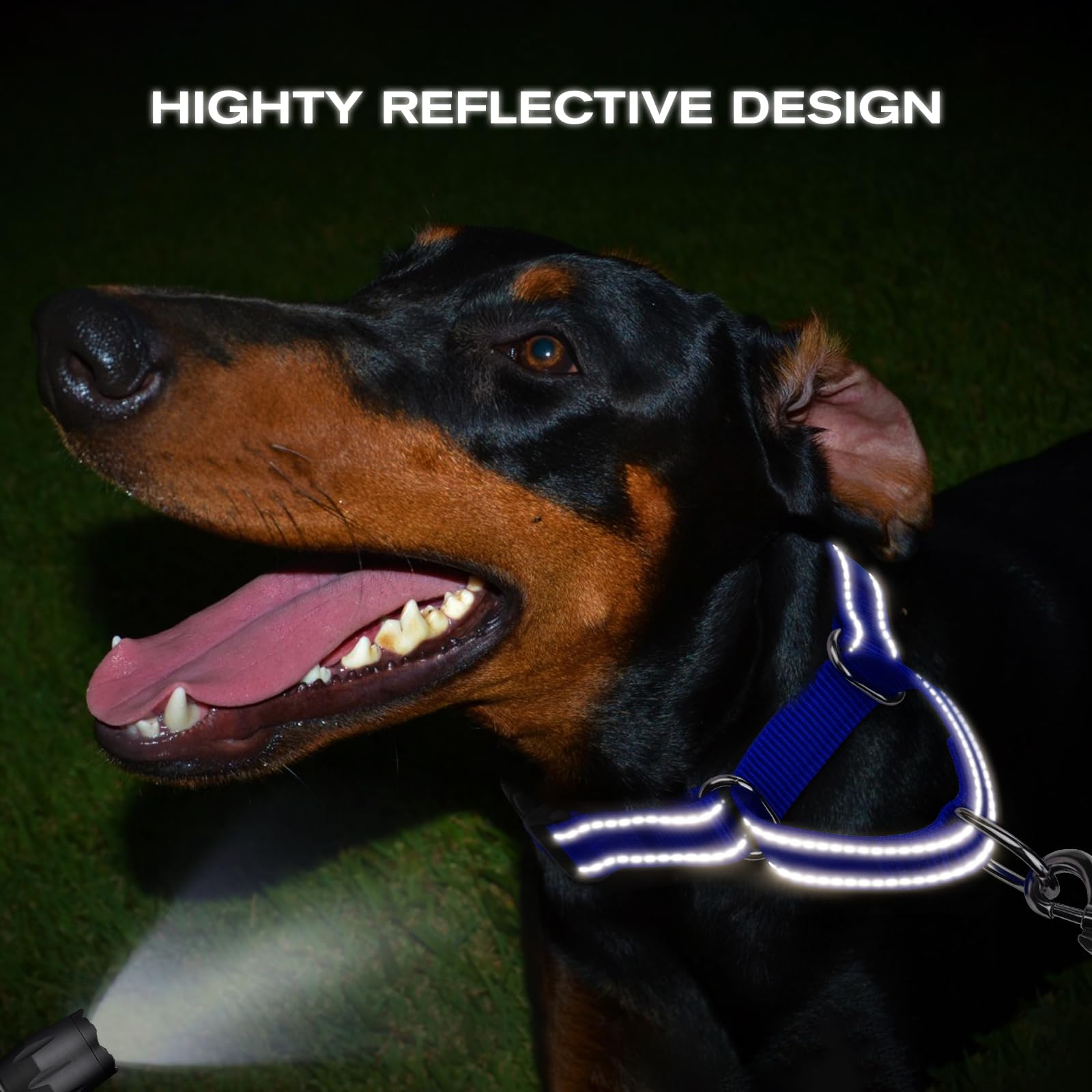 Joytale collar martingale para seguridad durante paseos nocturnos