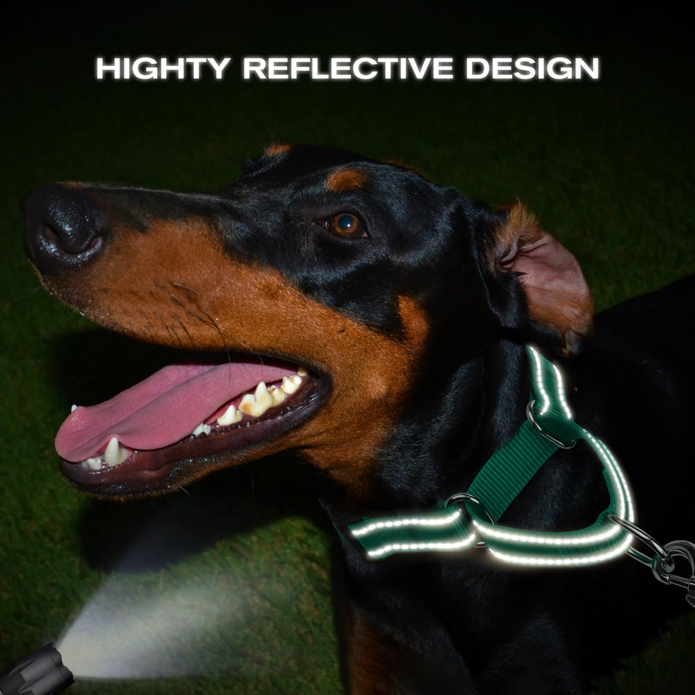 Visibilidad nocturna gracias a elementos reflectantes del collar martingale Joytale