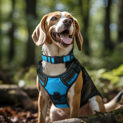 Joytale collar perro acolchado de neopreno ofrece confort en caminatas largas.