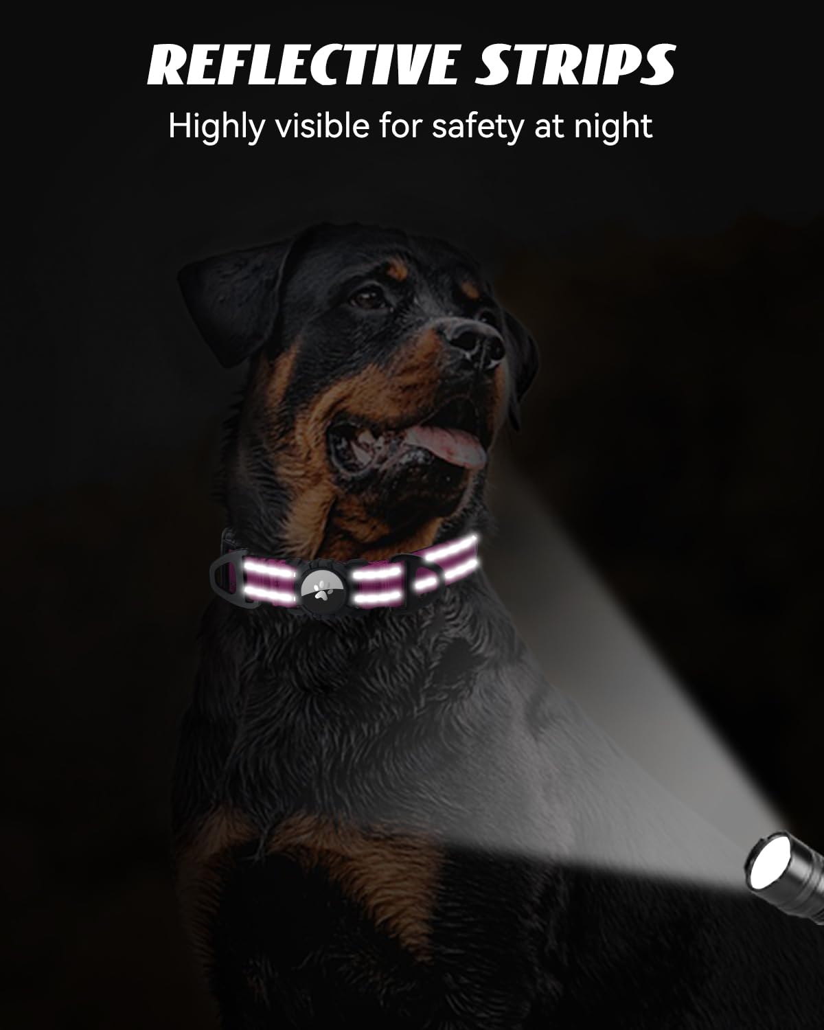 Collar Joytale AirTag cierre seguro que evita pérdidas