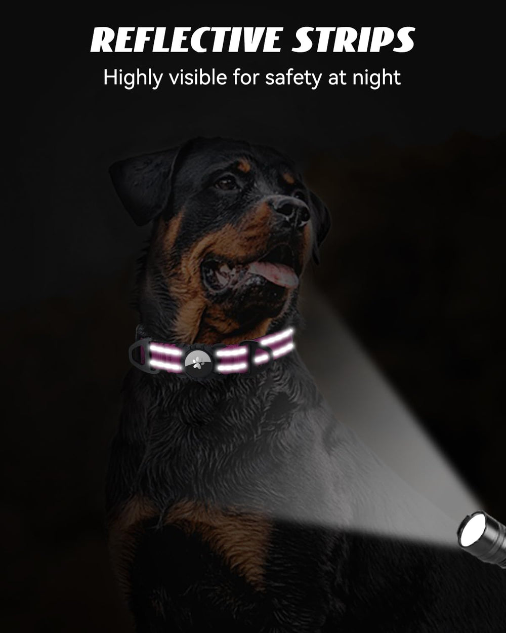 Collar Joytale AirTag cierre seguro que evita pérdidas