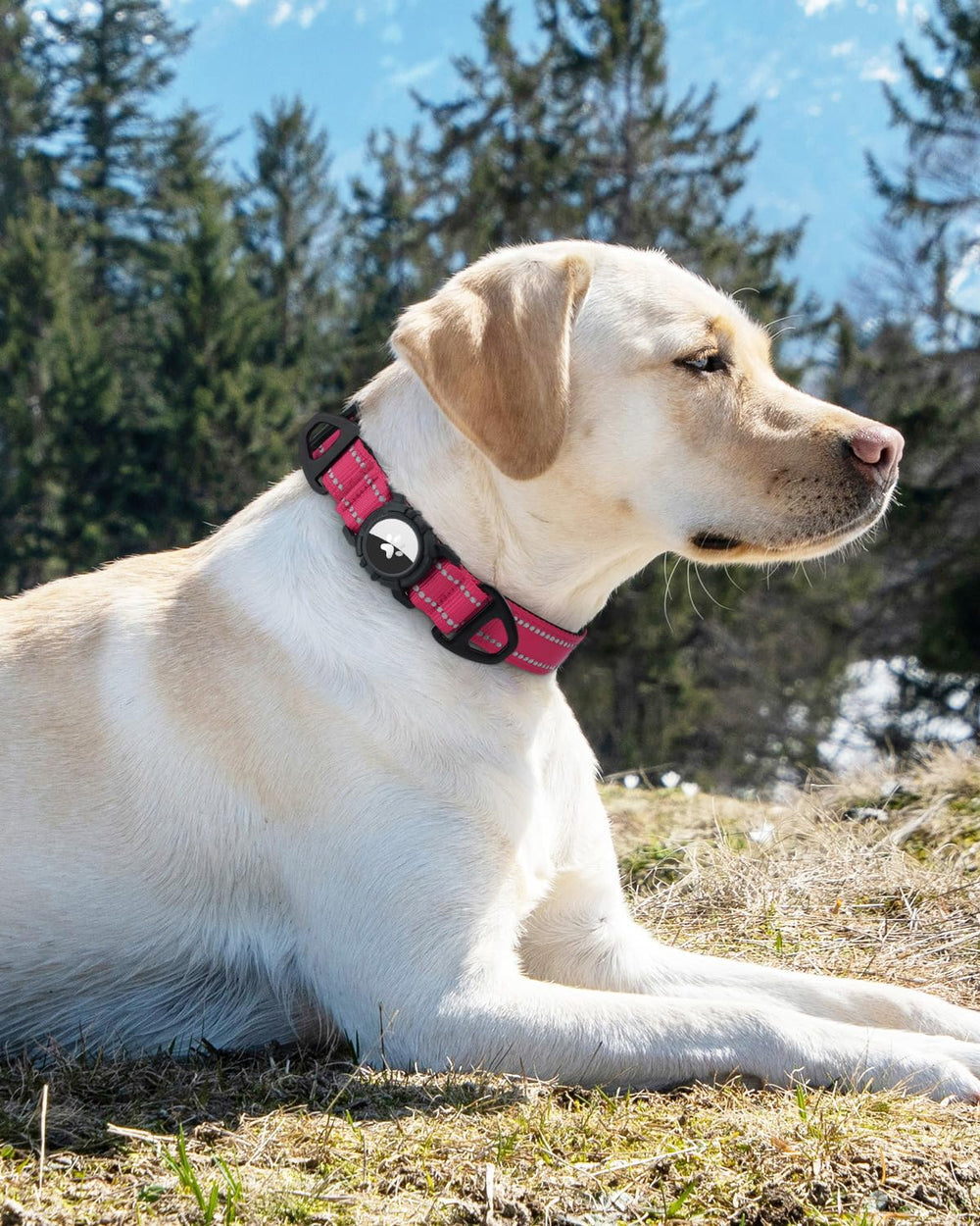 Collar Joytale AirTag para paseos en exteriores con perros grandes