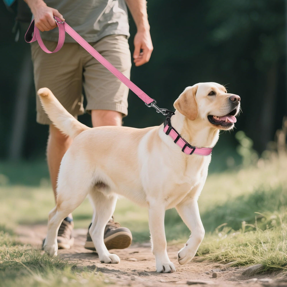 Collar Joytale con ajuste tamaño extragrande, ideal para perros grandes.