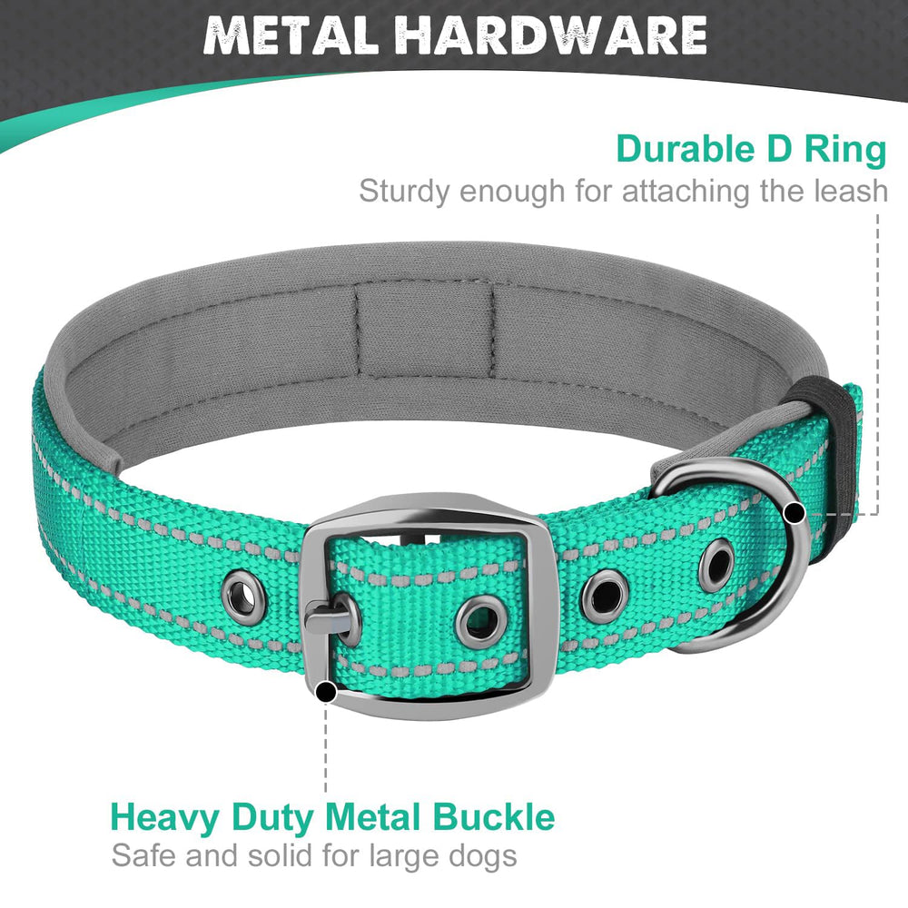 Collar Joytale con anilla en D y soporte para etiquetas, facilita identificación.