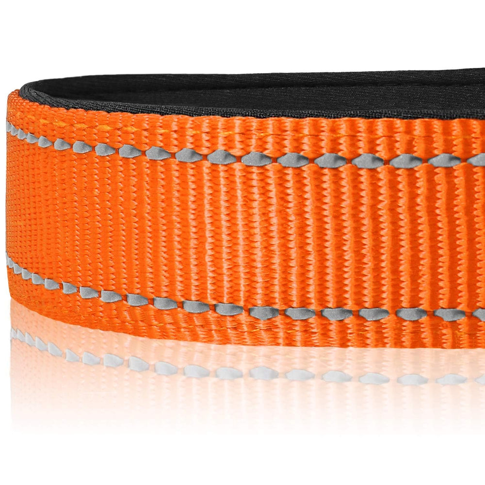 Collar Joytale con aro de zinc resistente para uso diario y excursiones.