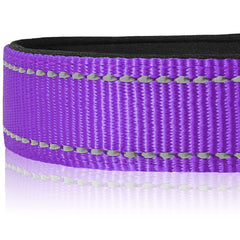 Cierre ABS plástico del collar Joytale para liberación rápida y ajuste cómodo.