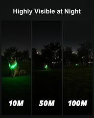 Collar Joytale iluminado con LED y ajuste a medida para perros de todos los tamaños.