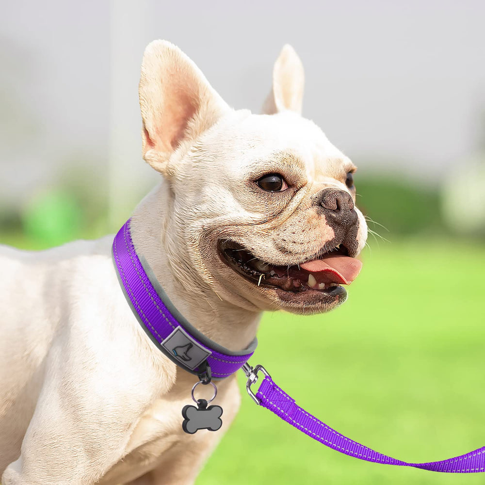Collar Joytale de doble banda reforzada para perros activos.