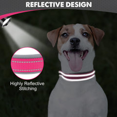 Collar de doble capa con refuerzo para perros activos