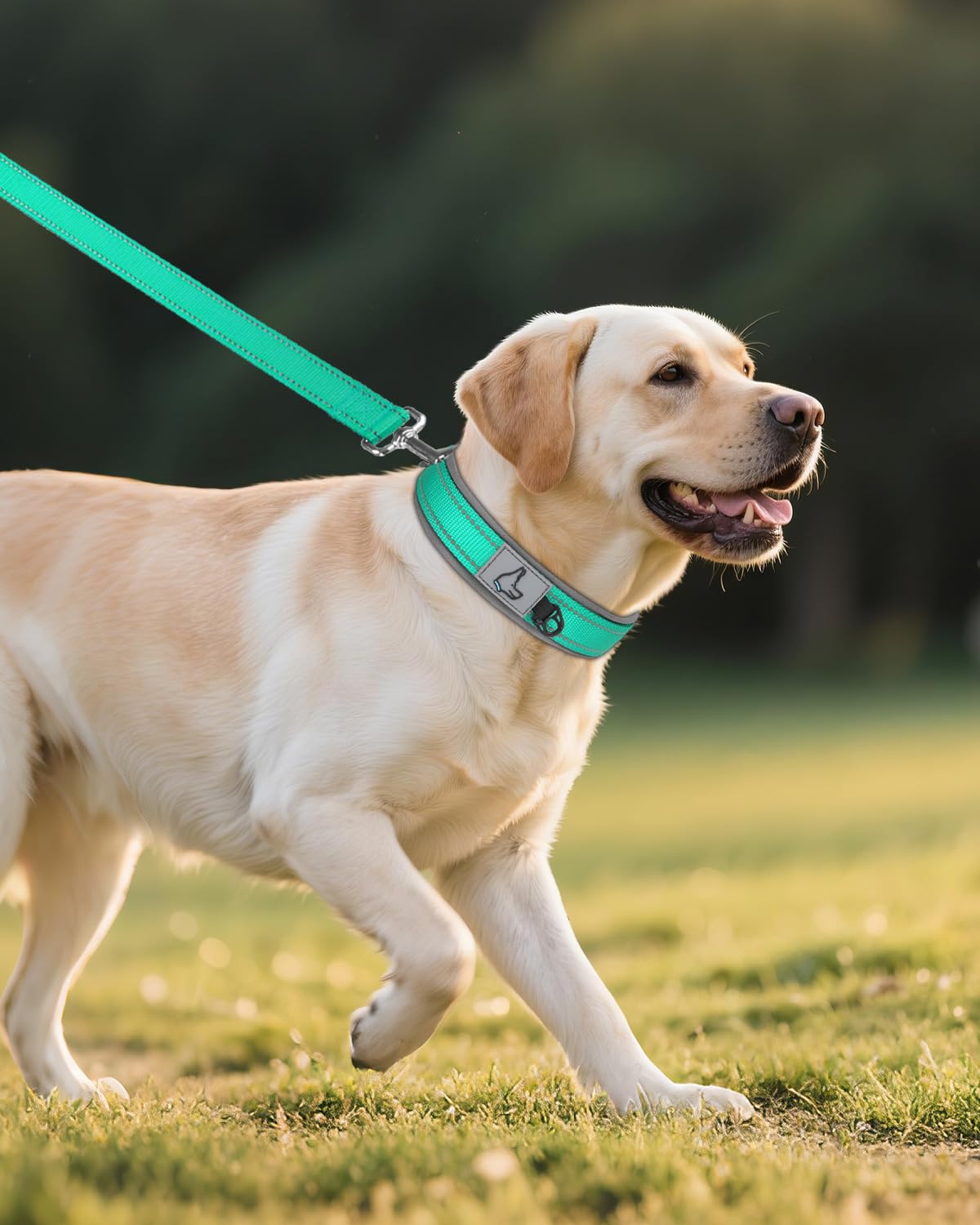 Joytale collar con banda para etiquetas para identificación rápida
