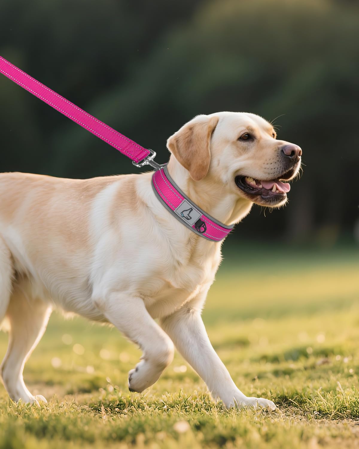 Joytale collar grande con bucle para etiquetas e identificación