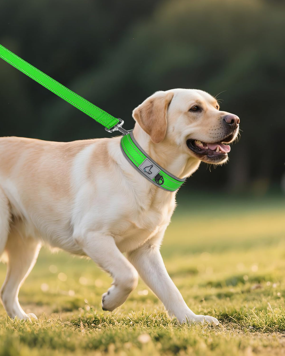 Joytale collar ofrece protección 360° en paseos activos gracias a su diseño.