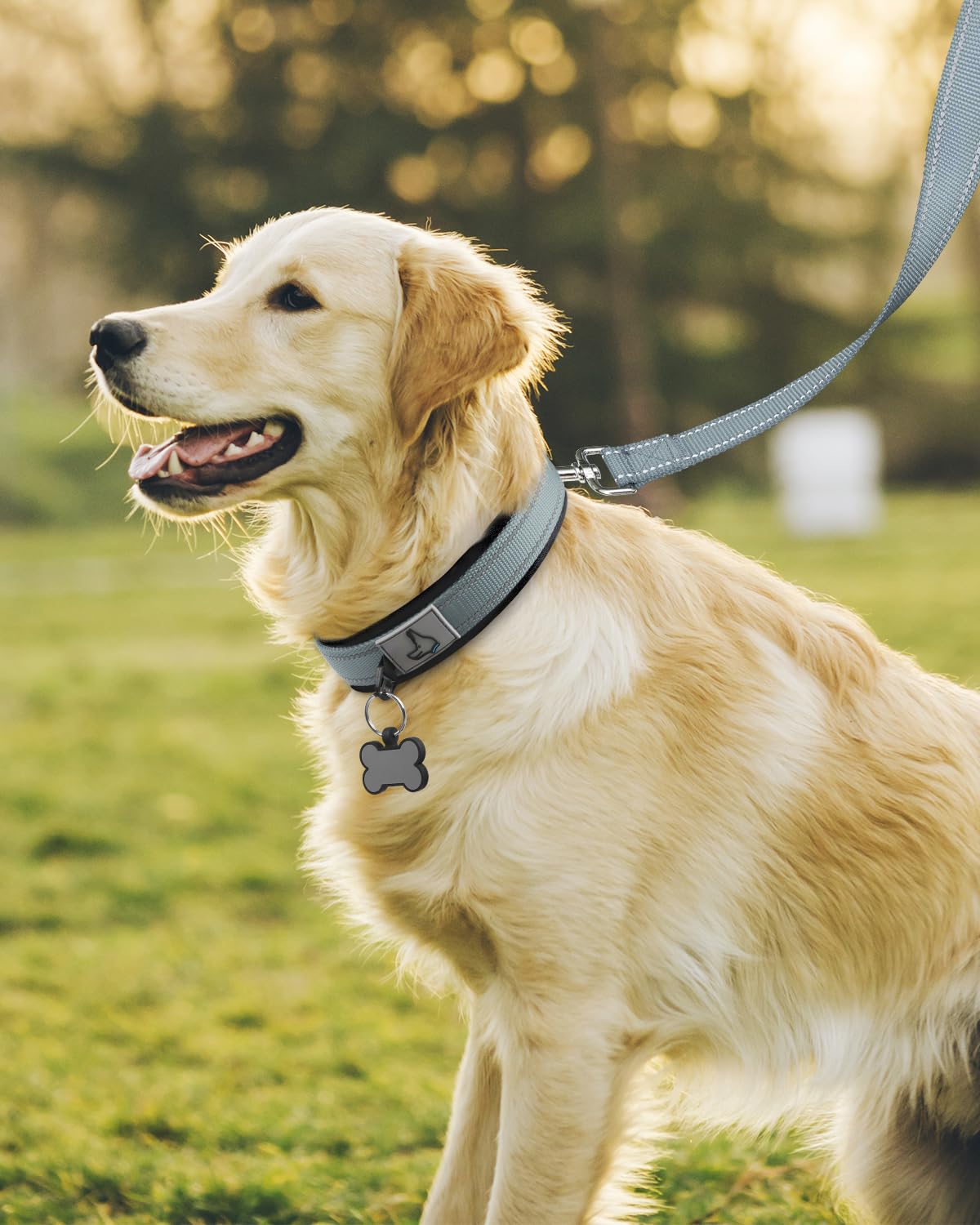 Joytale collar de doble cinta, mayor durabilidad para perros activos.