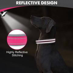 Joytale collar grande de dos capas de webbing para mayor durabilidad