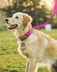 Joytale collar grande con costuras reflectantes 360 para visibilidad nocturna