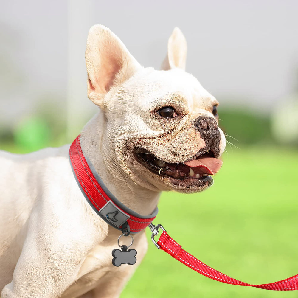 Hebilla de metal resistente Joytale para perros activos.