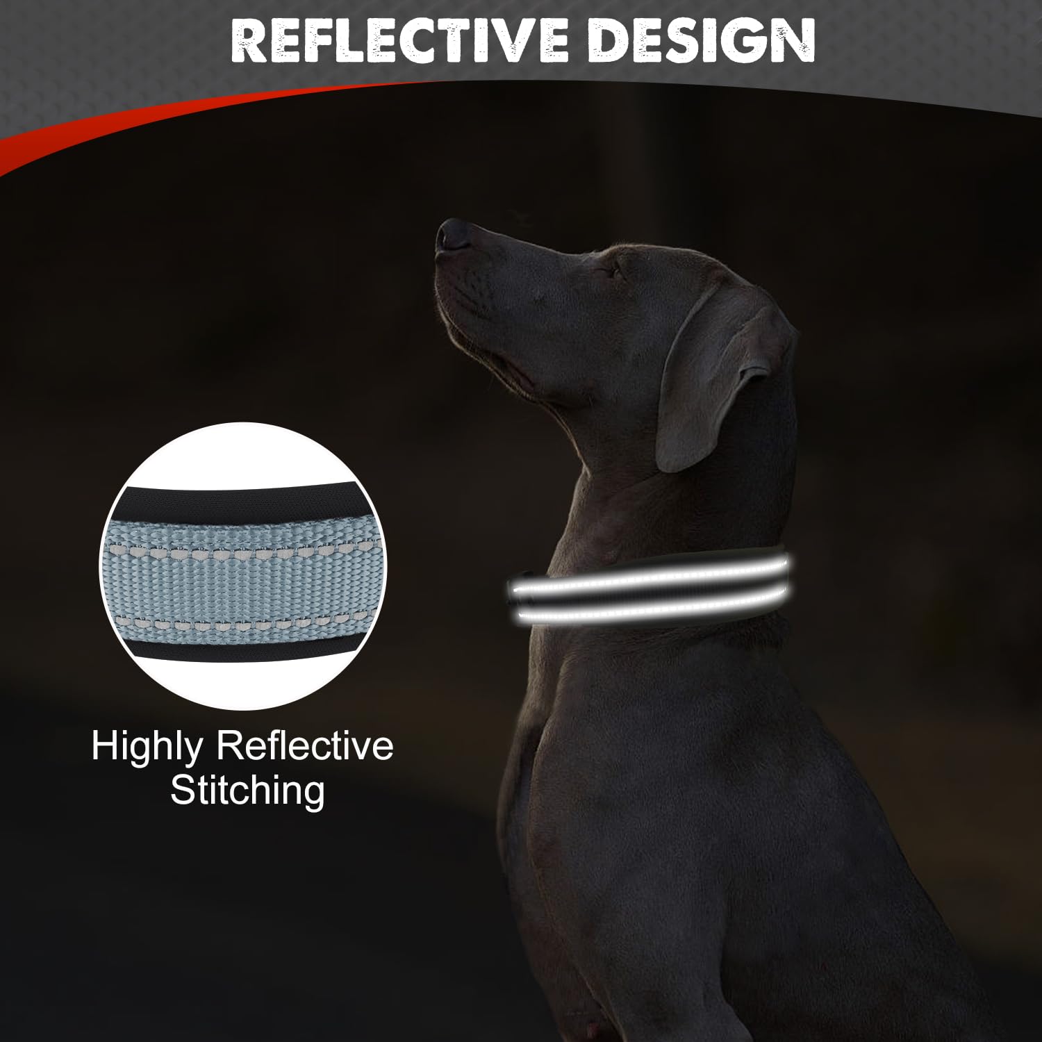 Collar Joytale con hebilla de metal resistente para uso activo.