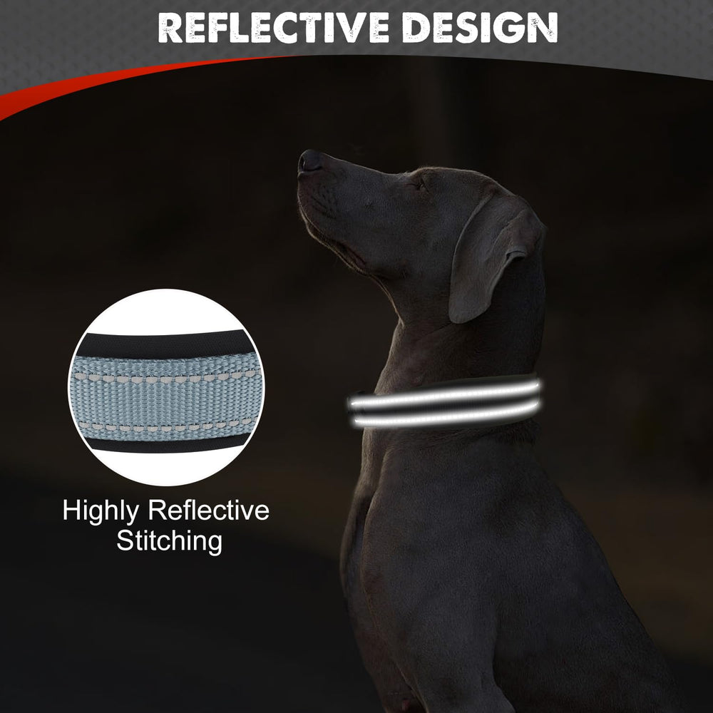 Collar Joytale con hebilla de metal resistente para uso activo.