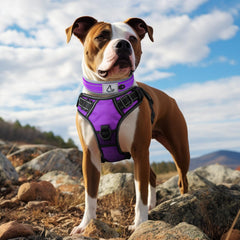 Hebilla metálica de Joytale, ligera y resistente para perros activos.