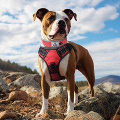 Collar Joytale para perro mediano con reflectividad 360 para mayor visibilidad nocturna