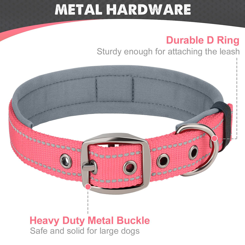 Joytale collar con anilla en D para correa, seguridad reforzada.