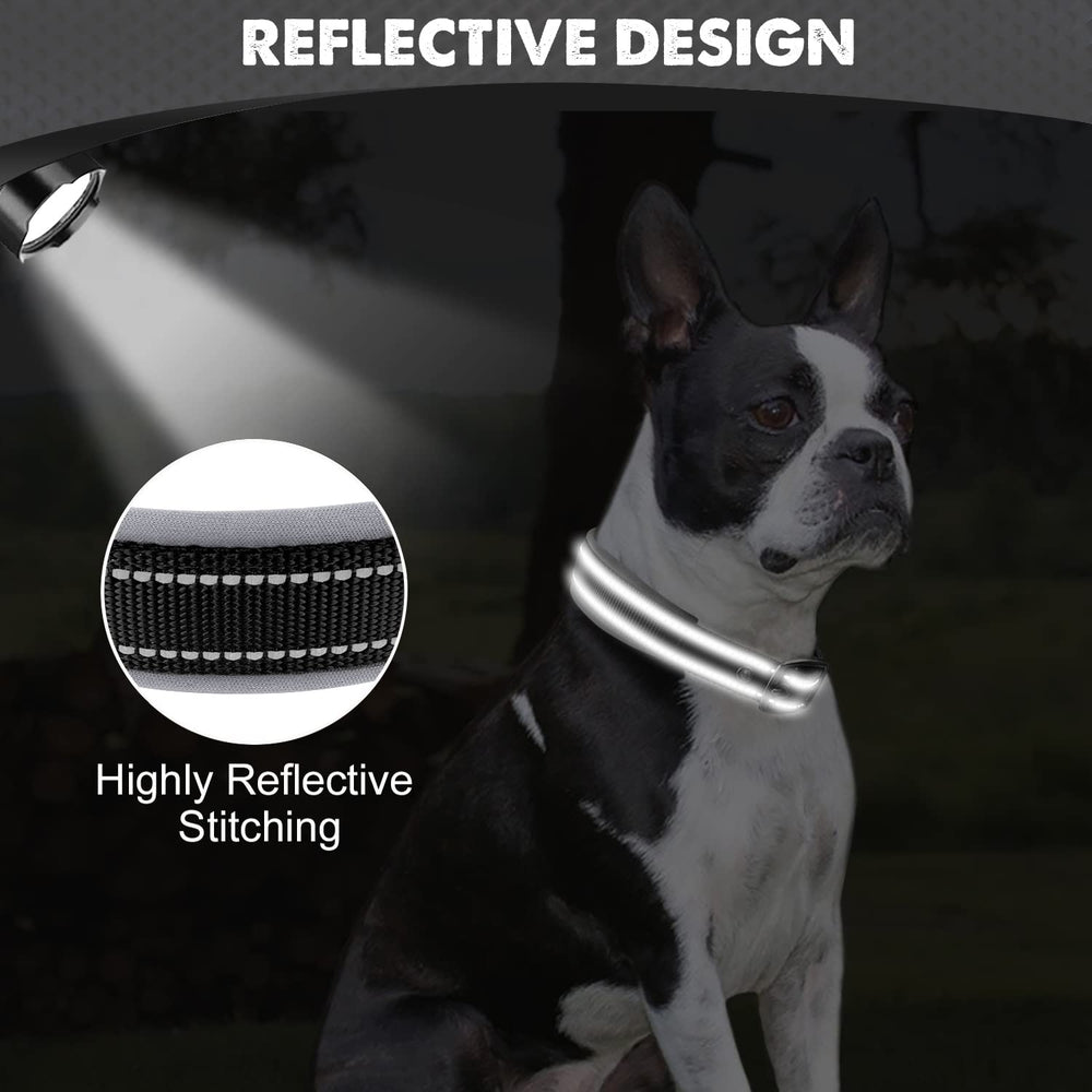 Collar Joytale ligero y resistente para perros activos.