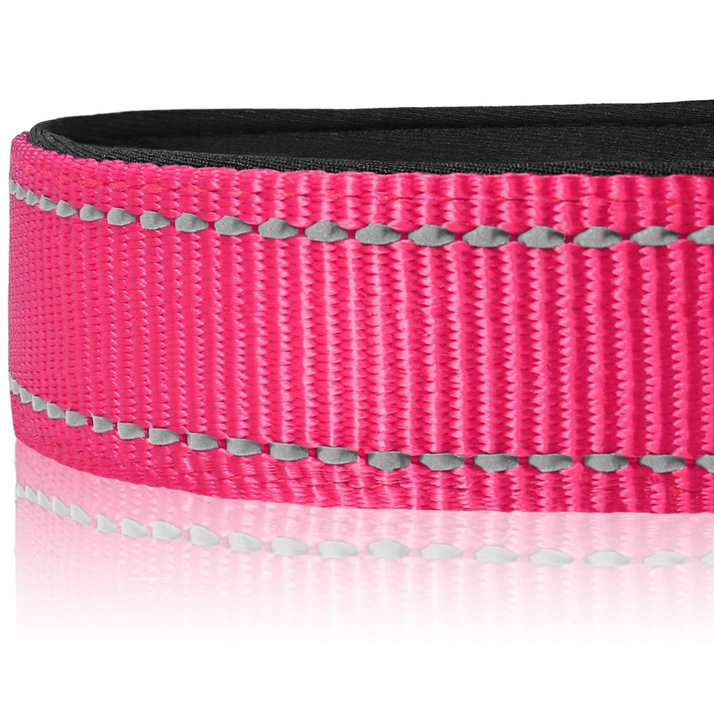 Collar Joytale de nylon con acolchado de neopreno para menos rozaduras.