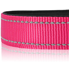 Collar Joytale de nylon con acolchado de neopreno para menos rozaduras.