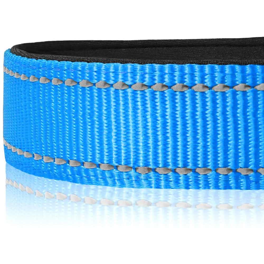 Joytale collar nylon ligero permite movimiento suave y cómodo todo el día.