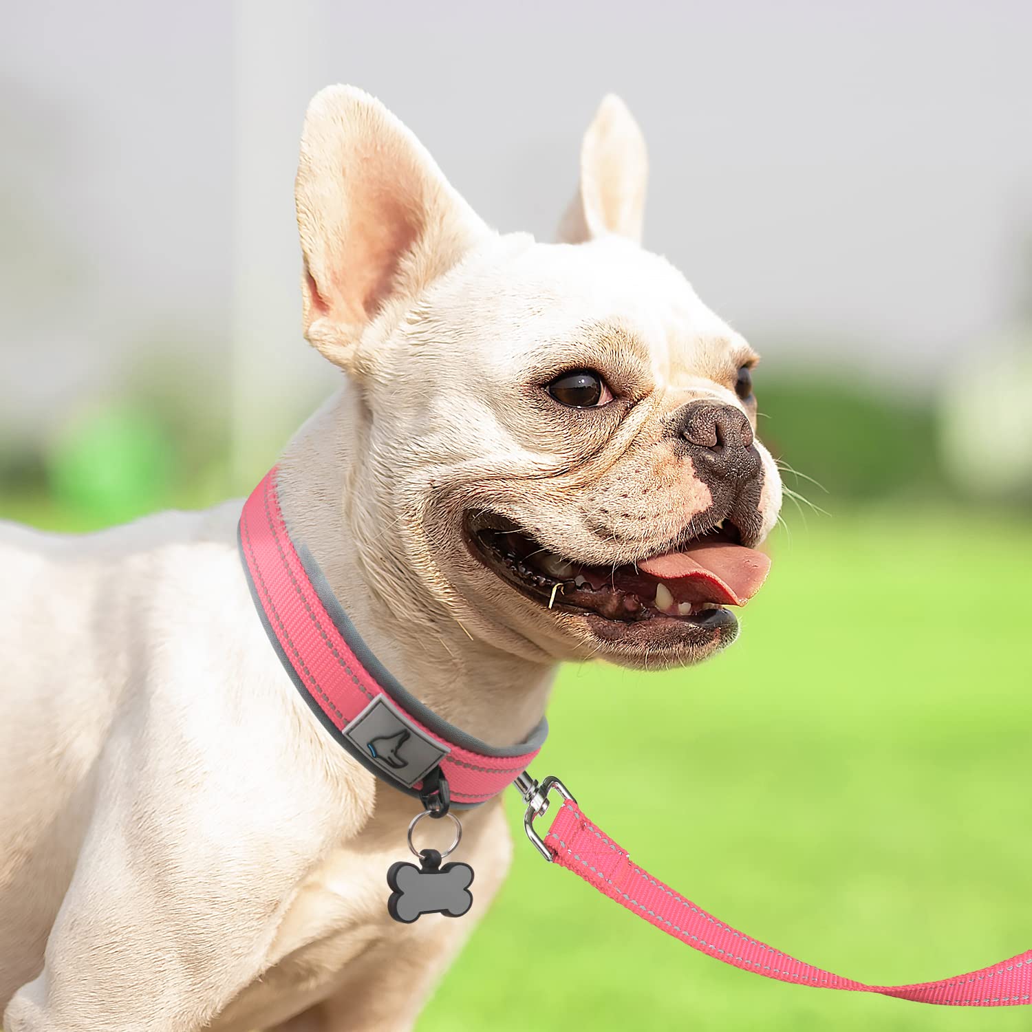 Joytale collar de doble cinta para mayor durabilidad en perros activos.