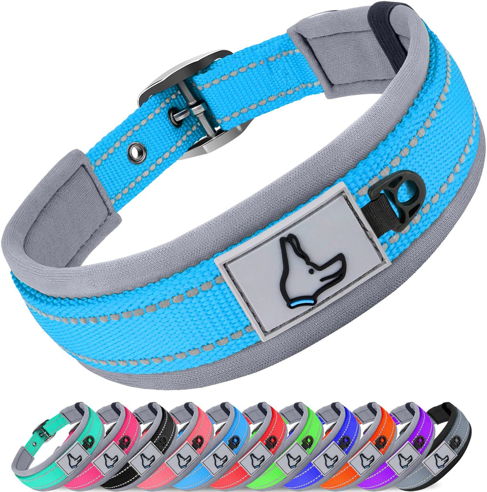 Joytale collar para perro pequeño, neopreno acolchado, comodidad en paseos diarios