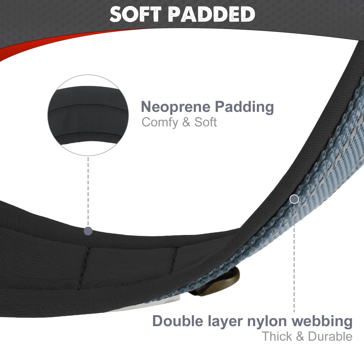 Collar Joytale con reflectante 360 para visibilidad nocturna en paseos.