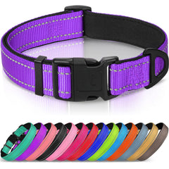 Collar Joytale reflectante de neopreno morado para alta visibilidad nocturna.