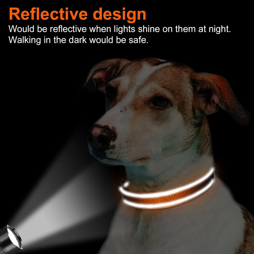 Collar Joytale reflectante para paseos nocturnos y salidas al exterior.