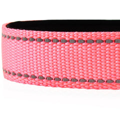 Collar Joytale con costuras reflectantes, mejor visibilidad nocturna y mayor seguridad.