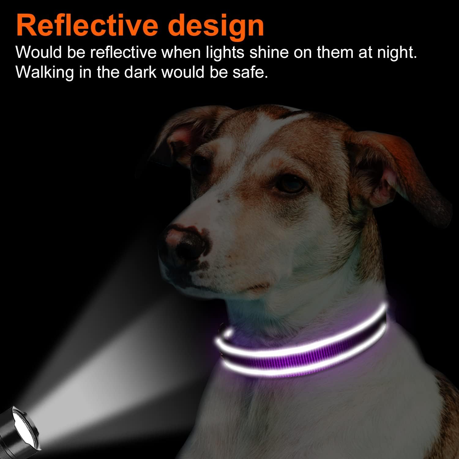 Collar Joytale para uso diario, aventuras al aire libre y paseos.
