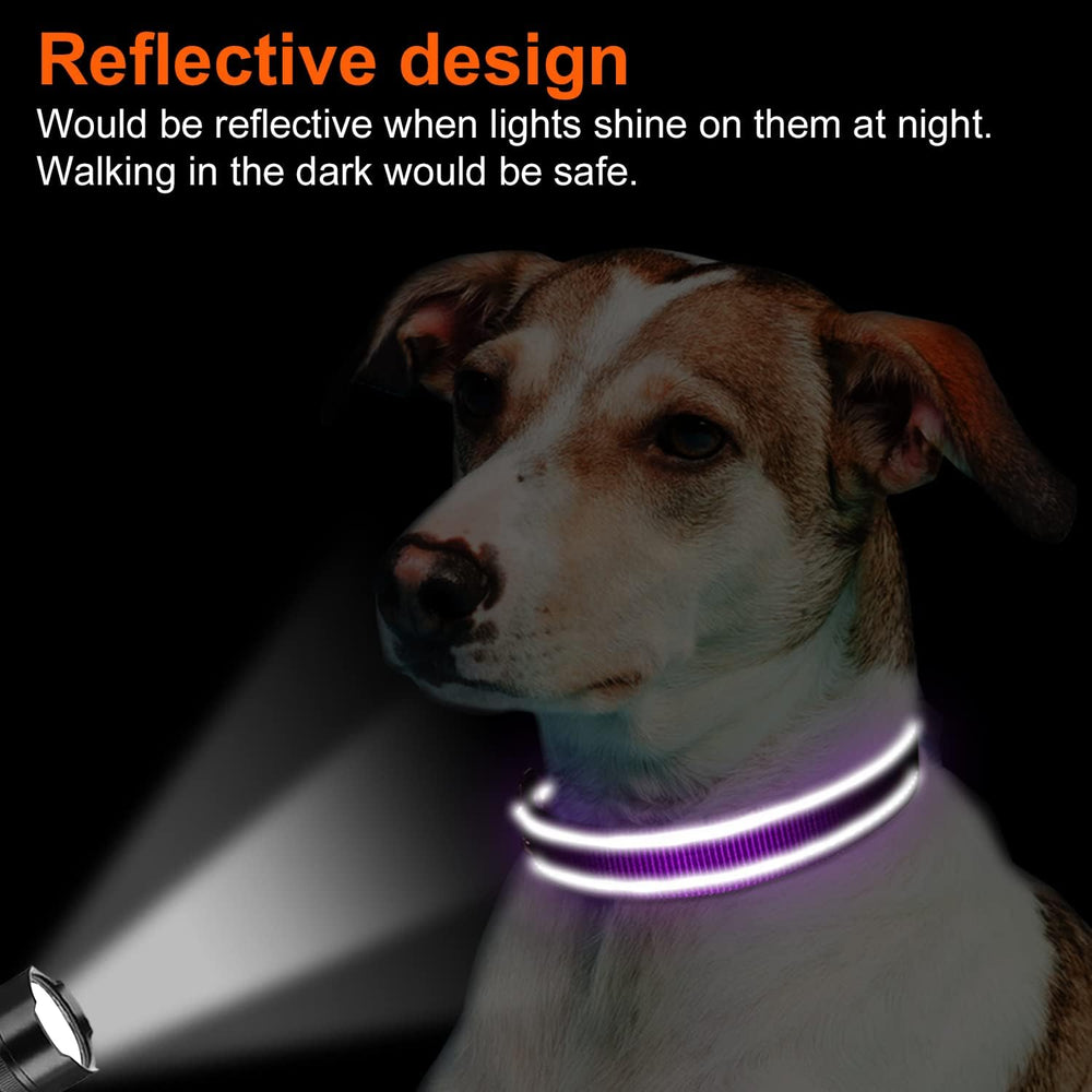Collar Joytale para uso diario, aventuras al aire libre y paseos.