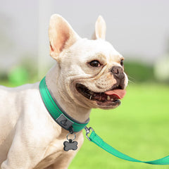 Collar Joytale de webbing doble capa, mayor durabilidad para paseos activos.