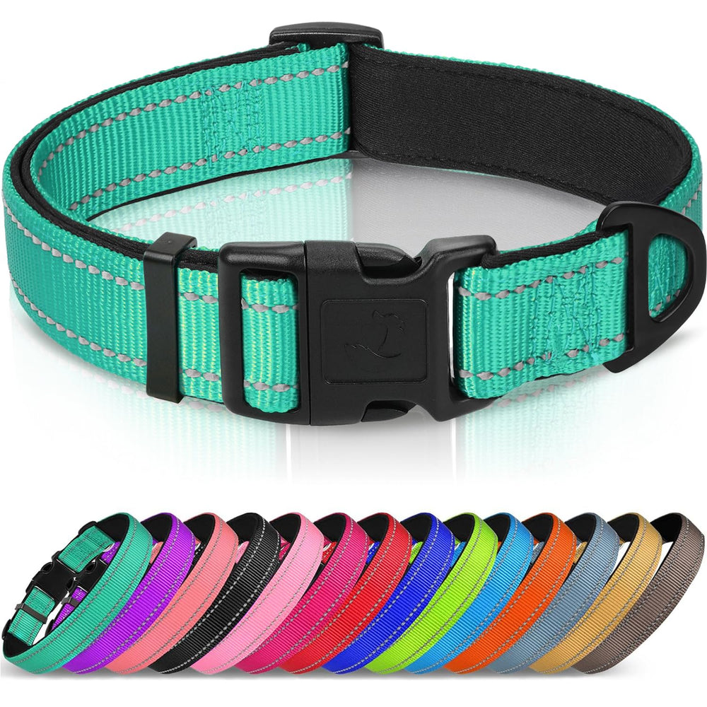 Collar Joytale reflectante con neopreno turquesa para mayor visibilidad.